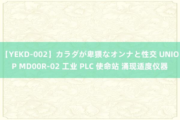 【YEKD-002】カラダが卑猥なオンナと性交 UNIOP MD00R-02 工业 PLC 使命站 涌现适度仪器
