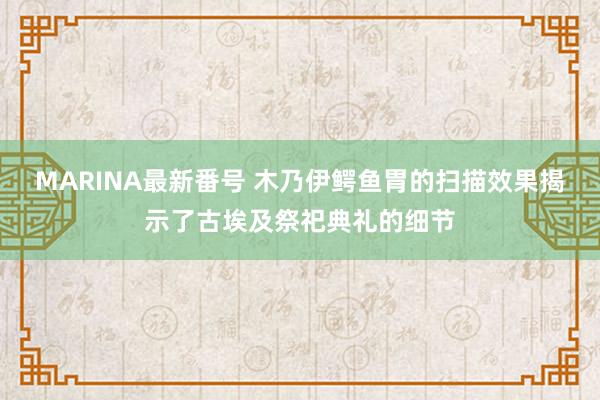 MARINA最新番号 木乃伊鳄鱼胃的扫描效果揭示了古埃及祭祀典礼的细节