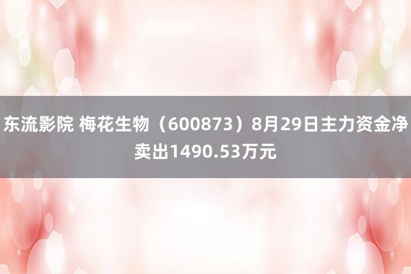 东流影院 梅花生物（600873）8月29日主力资金净卖出1490.53万元