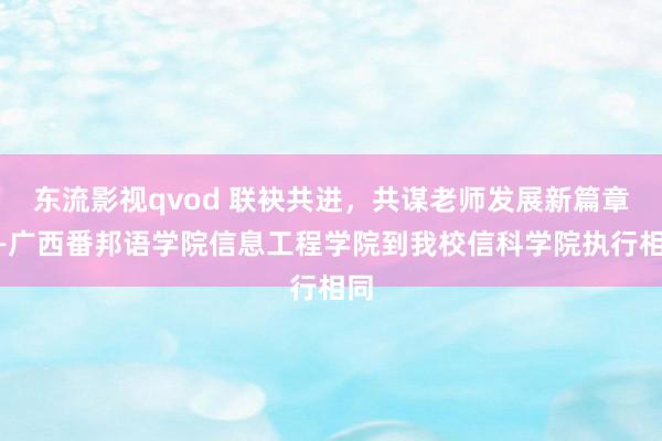 东流影视qvod 联袂共进，共谋老师发展新篇章——广西番邦语学院信息工程学院到我校信科学院执行相同