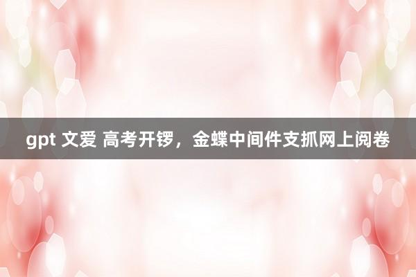 gpt 文爱 高考开锣，金蝶中间件支抓网上阅卷