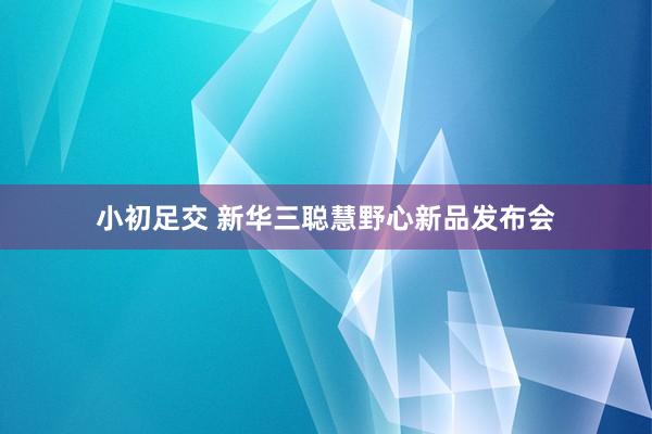 小初足交 新华三聪慧野心新品发布会