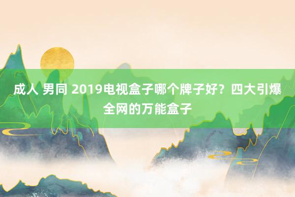 成人 男同 2019电视盒子哪个牌子好？四大引爆全网的万能盒子