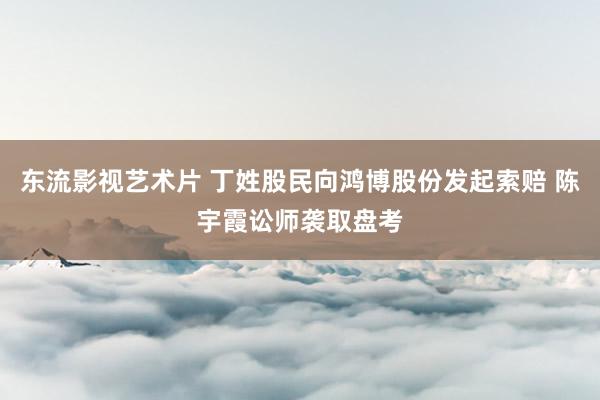 东流影视艺术片 丁姓股民向鸿博股份发起索赔 陈宇霞讼师袭取盘考