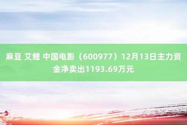 麻豆 艾鲤 中国电影（600977）12月13日主力资金净卖出1193.69万元