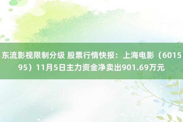 东流影视限制分级 股票行情快报：上海电影（601595）11月5日主力资金净卖出901.69万元