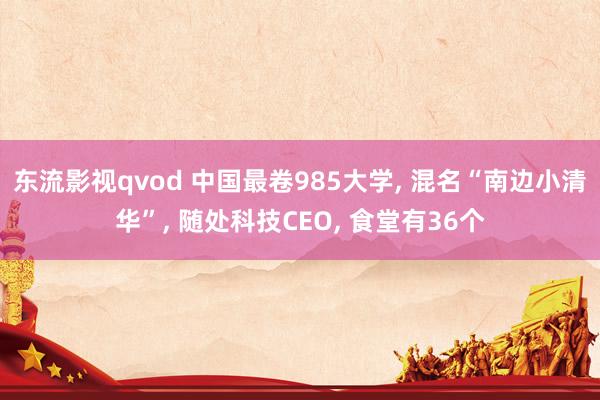 东流影视qvod 中国最卷985大学， 混名“南边小清华”， 随处科技CEO， 食堂有36个