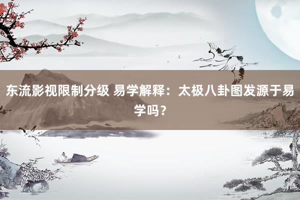 东流影视限制分级 易学解释：太极八卦图发源于易学吗？